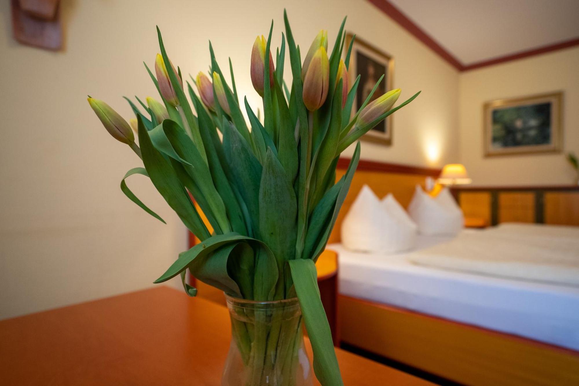 Hotel Esplanade & Aparthotel Rialto Binz Ngoại thất bức ảnh